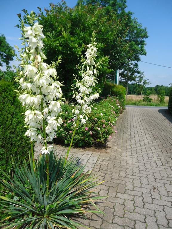 Das Fritz Hotel Schwerin Schoene Lage Im Gruenen Mit Regionaler Kueche Kostenfreien Parkplaetzen Und E Ladestation Exterior photo